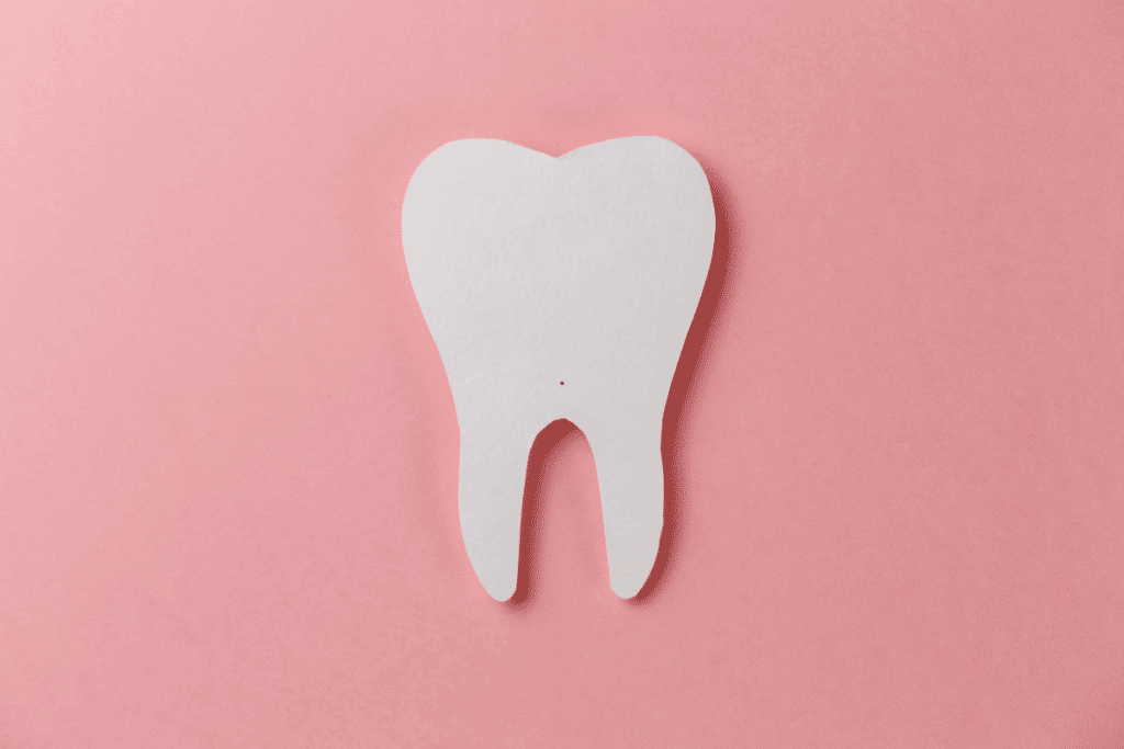 do teeth count as bone - Riverbend family Dentistry Jupiter FL